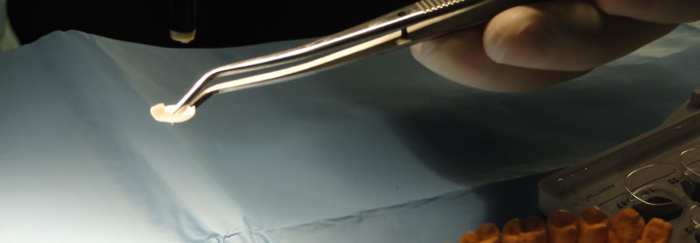 Il dott. Riccardo Sirello